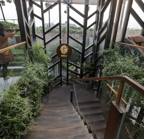 The Forest Lounge - ambiance