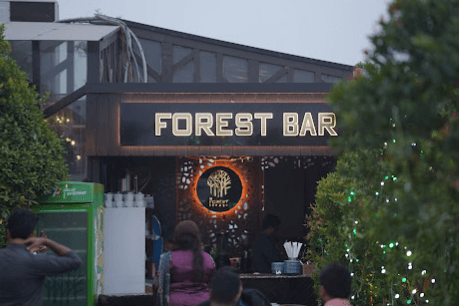 The Forest Lounge - ambiance